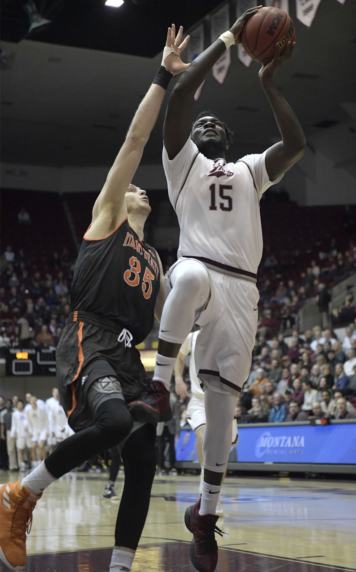 Griz vs Idaho State-17-tm.jpg